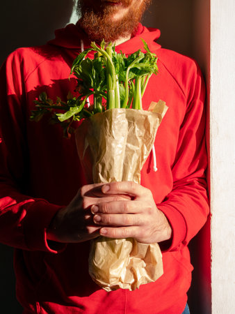 Bearded man in red hoody holds fresh green celery in hand harsh shadow. Vegetable gathering Healthy lifestyle raw greenery vegan grocery food shopping. Nutritionist occupation Farmer garden harvestingの写真素材