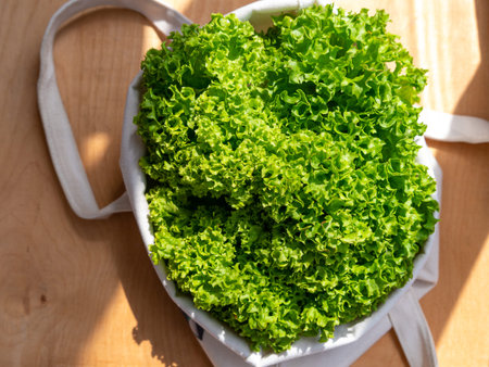 Fresh lettuce salad in eco shopping bag top view. Sustainable living Shop local concept. Green leaf...