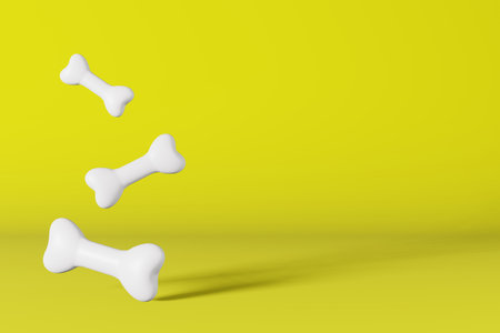 Realistic healthy white dog bones 3d rendering model. Pet shop banner yellow background. Vitamins nutrients calcium supplement food balanced diet.Domestic animal health care Joint arthritis rheumatismの写真素材