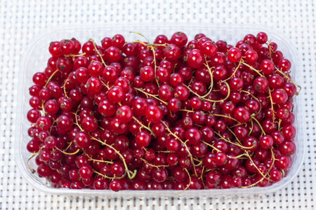 Red currant in a box close-up on a white textrured background. Tasty fresh berries, vitamins, vegan, natural, raw food. Healthy diet. Copy space, top view.の写真素材