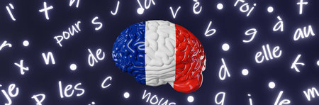 French Learning Foreign language fluency website banner Human brain glowing letters articles words...