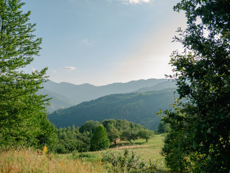 Village in Zakarpattya region with old authentic wooden houses Carpathian mountains view Ukraine Europe. Scenic landscape green fir trees sunny day Eco Local countryside tourism hiking Cottagecoreの写真素材