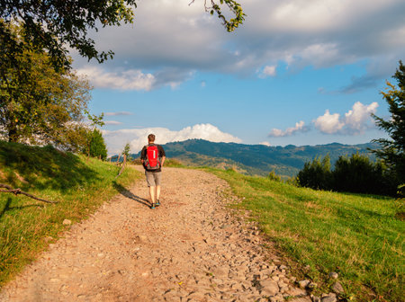 Millennial man hiking with backpack Carpathian Mountains road climbing peak scenic view. Travel Lifestyle wanderlust adventure vacations Bearded guy walking outdoor alone into the wild Ukraine, Europeの写真素材