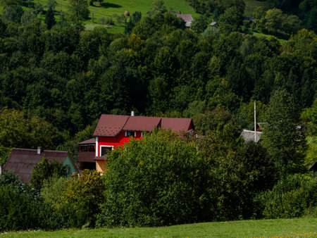 Modern red house in Carpathian mountains forest, Ukraine, Europe. Scenic landscape green meadow spruce trees sunny day Eco Local countryside tourism hiking trails Cottagecore Zakarpattya region travelの写真素材
