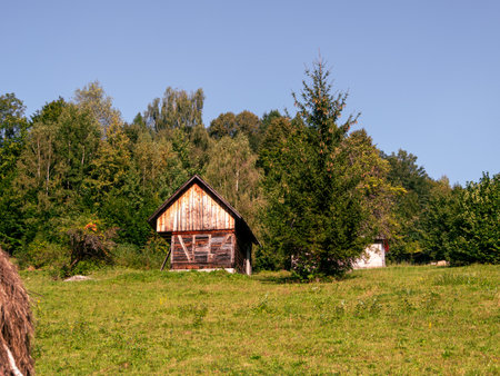 Old authentic wooden countryside house with hayloft in Carpathian mountains village Ukraine Europe travel. Scenic landscape green lawn apple spruce trees. Eco tourism hiking forest trails. Cottagecoreの写真素材