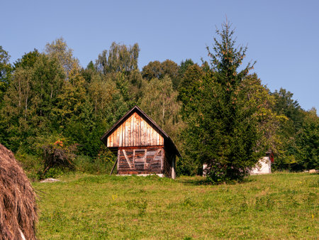Old authentic wooden countryside house with hayloft in Carpathian mountains village Ukraine Europe travel. Scenic landscape green lawn apple spruce trees. Eco tourism hiking forest trails. Cottagecoreの写真素材