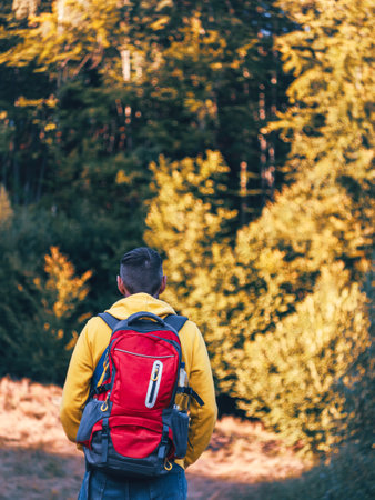 Millennial man hiking in yellow hoody and red backpack climbing Carpathian Mountains forest scenic view. Travel Lifestyle wanderlust into the wild adventure. Bearded guy walks alone back view facelessの写真素材