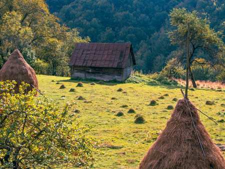 Old authentic wooden house with hayloft in scenic Carpathian mountains Ukraine, Europe, Transcarpathia region. Local countryside travel forest hiking trails. Cottagecore style vacation. Eco tourism.の写真素材