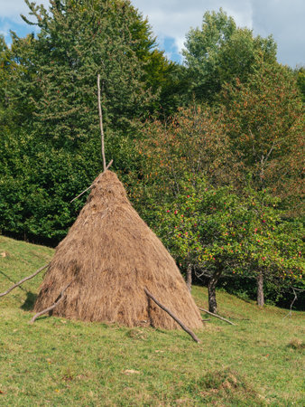 Old authentic wooden house with hayloft in scenic Carpathian mountains Ukraine, Europe, Transcarpathia region. Local countryside travel forest hiking trails. Cottagecore style vacation. Eco tourism.の写真素材