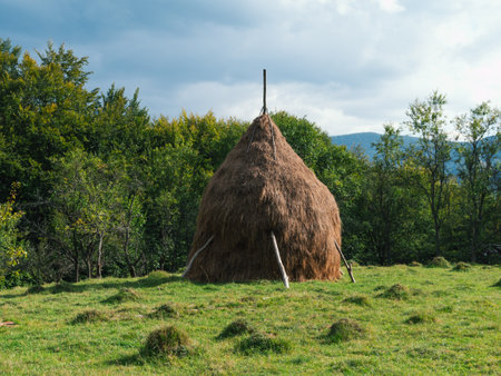 Old authentic wooden house with hayloft in scenic Carpathian mountains Ukraine, Europe, Transcarpathia region. Local countryside travel forest hiking trails. Cottagecore style vacation. Eco tourism.の写真素材