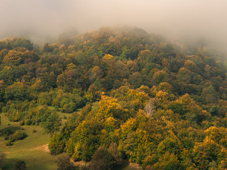 Misty fall Carpathian Mountains fog landscape. Village in Transcarpathia region Foggy spruce pine trees forest scenic view Ukraine, Europe. Autumn countryside Eco Local tourism Recreational activitiesの写真素材