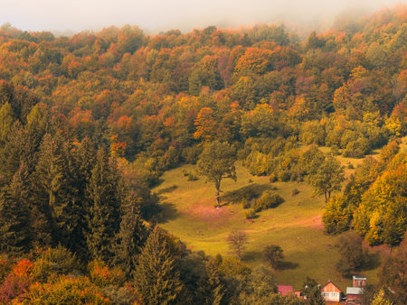 Misty fall Carpathian Mountains fog landscape. Village in Transcarpathia region Foggy spruce pine trees forest scenic view Ukraine, Europe. Autumn countryside Eco Local tourism Recreational activitiesの写真素材