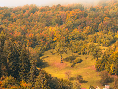Misty fall Carpathian Mountains fog landscape. Village in Transcarpathia region Foggy spruce pine trees forest scenic view Ukraine, Europe. Autumn countryside Eco Local tourism Recreational activitiesの写真素材