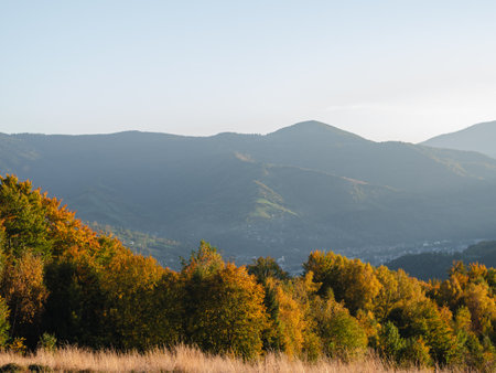 Village in Transcarpathia region scenic Carpathian mountains view Ukraine, Europe. Autumn countryside landscape fall spruce pine trees Pasture Eco Local tourism hiking Recreational activities Vacationの写真素材