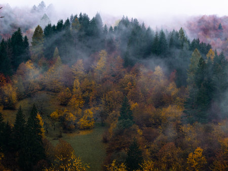 Misty fall Carpathian Mountains fog landscape. Village in Transcarpathia region Foggy spruce pine trees forest scenic view Ukraine, Europe. Autumn countryside Eco Local tourism Recreational activitiesの写真素材