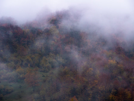Misty fall Carpathian Mountains fog landscape. Village in Transcarpathia region Foggy spruce pine trees forest scenic view Ukraine, Europe. Autumn countryside Eco Local tourism Recreational activitiesの写真素材