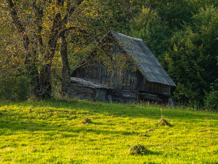 Old authentic wooden house with hayloft in scenic Carpathian mountains Ukraine, Europe, Transcarpathia region.の写真素材