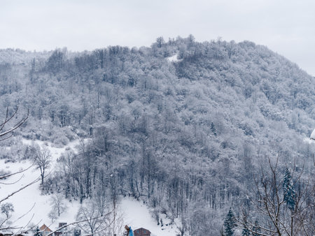 Spruce forest covered with white snow Misty winter Carpathian Mountains view landscape. Snowy pine fir trees with fog in the Carpathians. Scenic wood landscape Village in Transcarpathia Ukraine Europeの写真素材