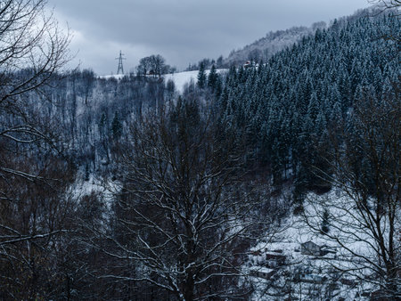 Spruce forest covered with white snow Misty winter Carpathian Mountains view landscape. Snowy pine fir trees with fog in the Carpathians. Scenic wood landscape Village in Transcarpathia Ukraine Europeの写真素材
