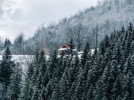 Village with wooden houses in Transcarpathia Ukraine, Europe. Spruce forest covered with white snow. Winter Carpathian Mountains view scenic landscape Snowy pine fir trees foggy day in the Carpathiansの写真素材
