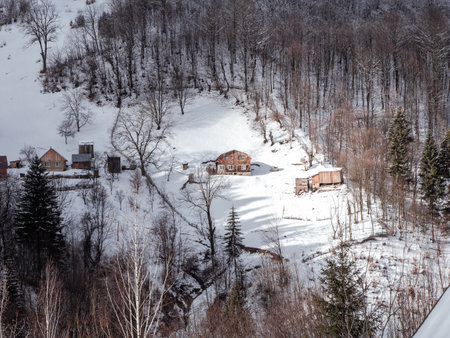 Village with wooden houses in Transcarpathia Ukraine, Europe. Spruce forest covered with white snow. Winter Carpathian Mountains view scenic landscape Snowy pine fir trees sunny day in the Carpathiansの写真素材