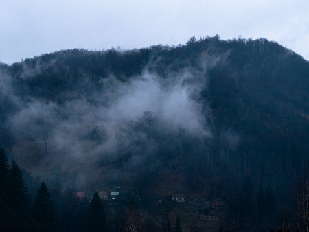 Misty Carpathian Mountains fog clouds landscape. Foggy atmospheric morning green fir trees Scenic forest rainy day. Calm tranquil Carpathians summit wood, Ukraine Europe travel. Eco Tourism Recreationの写真素材