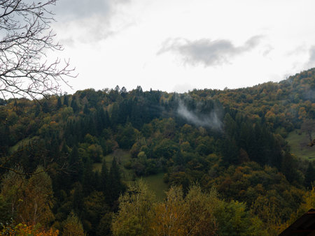 Misty fall Carpathian Mountains fog landscape. Village in Transcarpathia region Lush foliage Foggy spruce pine trees forest scenic view Ukraine, Europe. Autumn countryside Eco Local tourismの写真素材