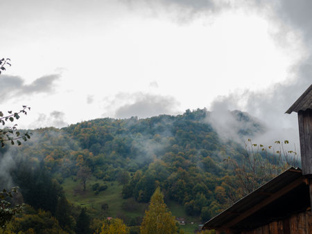 Misty fall Carpathian Mountains fog landscape. Village in Transcarpathia region Lush foliage Foggy spruce pine trees forest scenic view Ukraine, Europe. Autumn countryside Eco Local tourismの写真素材