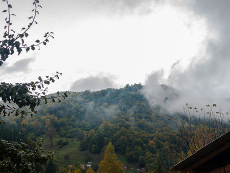 Misty fall Carpathian Mountains fog landscape. Village in Transcarpathia region Lush foliage Foggy spruce pine trees forest scenic view Ukraine, Europe. Autumn countryside Eco Local tourismの写真素材