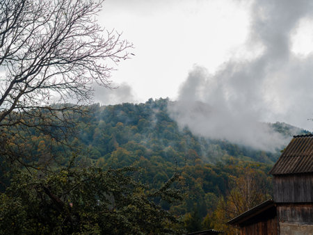Misty fall Carpathian Mountains fog landscape. Village in Transcarpathia region Lush foliage Foggy spruce pine trees forest scenic view Ukraine, Europe. Autumn countryside Eco Local tourismの写真素材