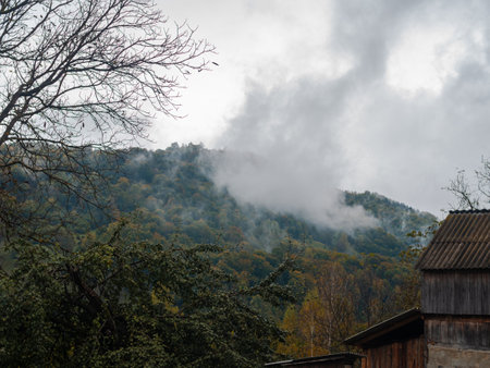 Misty fall Carpathian Mountains fog landscape. Village in Transcarpathia region Lush foliage Foggy spruce pine trees forest scenic view Ukraine, Europe. Autumn countryside Eco Local tourismの写真素材