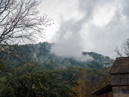 Misty fall Carpathian Mountains fog landscape. Village in Transcarpathia region Lush foliage Foggy spruce pine trees forest scenic view Ukraine, Europe. Autumn countryside Eco Local tourismの写真素材