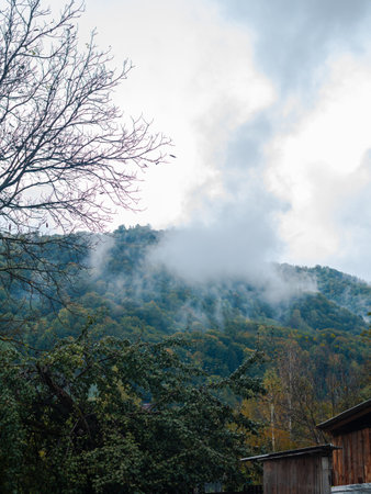 Misty fall Carpathian Mountains fog landscape. Village in Transcarpathia region Lush foliage Foggy spruce pine trees forest scenic view Ukraine, Europe. Autumn countryside Eco Local tourismの写真素材