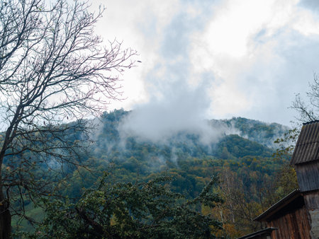 Misty fall Carpathian Mountains fog landscape. Village in Transcarpathia region Lush foliage Foggy spruce pine trees forest scenic view Ukraine, Europe. Autumn countryside Eco Local tourismの写真素材