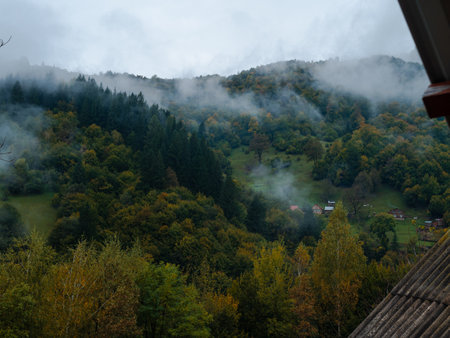 Misty fall Carpathian Mountains fog landscape. Village in Transcarpathia region Lush foliage Foggy spruce pine trees forest scenic view Ukraine, Europe. Autumn countryside Eco Local tourismの写真素材