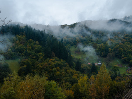 Misty fall Carpathian Mountains fog landscape. Village in Transcarpathia region Lush foliage Foggy spruce pine trees forest scenic view Ukraine, Europe. Autumn countryside Eco Local tourismの写真素材