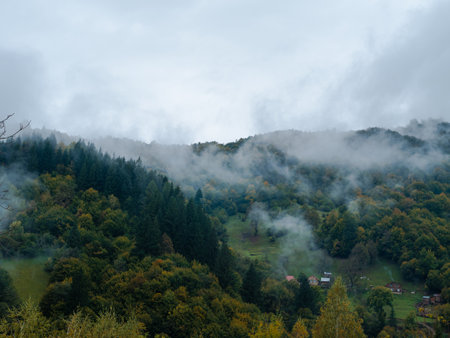 Misty fall Carpathian Mountains fog landscape. Village in Transcarpathia region Lush foliage Foggy spruce pine trees forest scenic view Ukraine, Europe. Autumn countryside Eco Local tourismの写真素材