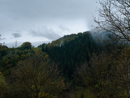 Misty fall Carpathian Mountains fog landscape. Village in Transcarpathia region Lush foliage Foggy spruce pine trees forest scenic view Ukraine, Europe. Autumn countryside Eco Local tourismの写真素材