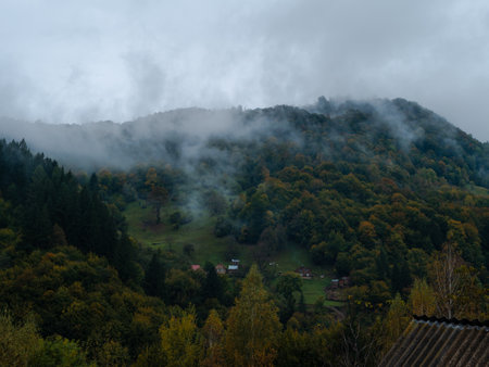 Misty fall Carpathian Mountains fog landscape. Village in Transcarpathia region Lush foliage Foggy spruce pine trees forest scenic view Ukraine, Europe. Autumn countryside Eco Local tourismの写真素材