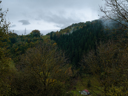 Misty fall Carpathian Mountains fog landscape. Village in Transcarpathia region Lush foliage Foggy spruce pine trees forest scenic view Ukraine, Europe. Autumn countryside Eco Local tourismの写真素材