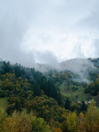 Misty fall Carpathian Mountains fog landscape. Village in Transcarpathia region Lush foliage Foggy spruce pine trees forest scenic view Ukraine, Europe. Autumn countryside Eco Local tourismの写真素材