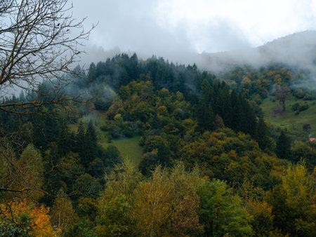 Misty fall Carpathian Mountains fog landscape. Village in Transcarpathia region Lush foliage Foggy spruce pine trees forest scenic view Ukraine, Europe. Autumn countryside Eco Local tourismの写真素材