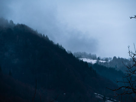 Village in Transcarpathia region scenic Carpathian mountains. Contrasting white clouds dark green pine trees scenic viewの写真素材