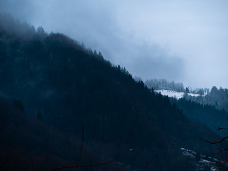 Village in Transcarpathia region scenic Carpathian mountains. Contrasting white clouds dark green pine trees scenic viewの写真素材
