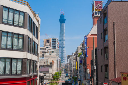 Under Tokyo Sky Tree construction