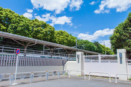 Stationのeditorial素材
