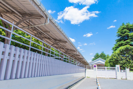 Stationのeditorial素材
