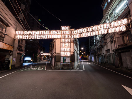 Tokyo Night viewのeditorial素材