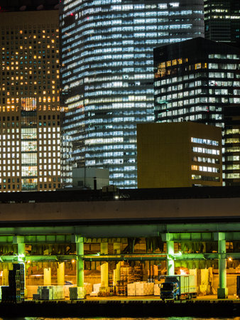 Tokyo Night viewのeditorial素材