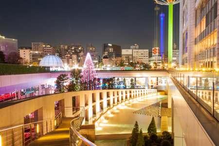 Tokyo Night viewのeditorial素材